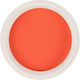 Trendy Color Cosmetics Σκόνη Ακρυλικού 5gr 12164