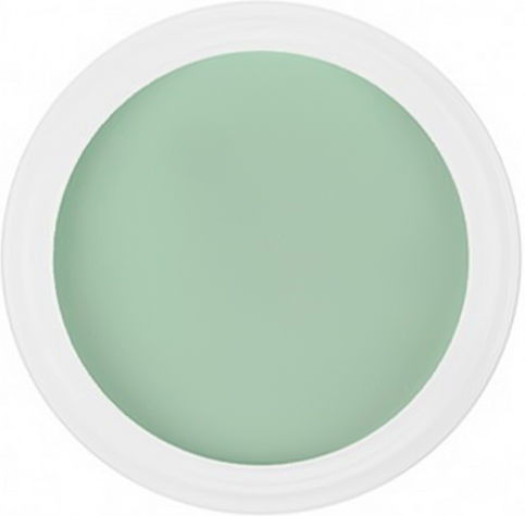 Trendy Color Cosmetics Σκόνη Ακρυλικού 5gr 3098