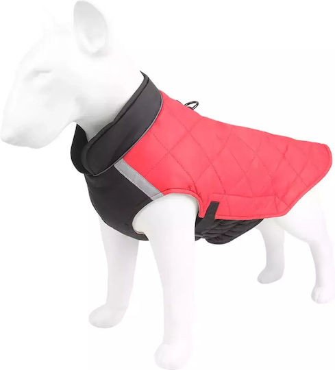 Red Dog Coat with 50cm Back Length