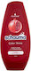 Schwarzkopf Schauma Conditioner Farberhalt für Gefärbt Haare 250ml