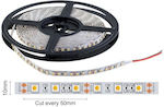 Spot Light Rezistentă la apă Bandă LED Alimentare 24V cu Lumină Alb Rece Lungime 1m și 60 LED-uri pe Metru