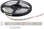 Spot Light Rezistentă la apă Bandă LED Alimentare 24V cu Lumină Alb Cald Lungime 1m și 60 LED-uri pe Metru