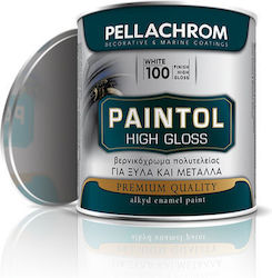 Pellachrom Цвят на лака Paintol 0.75лт 161 Блестящ