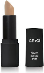 Grigi Cover Concealer Stick 101 4.5gr
