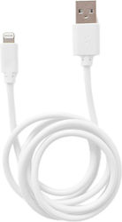 Ezi USB-A zu Lightning 1m