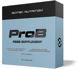 Scitec Nutrition 40mg 36 Mützen