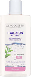 Pur Micellar Wasser Make-up Entferner 300ml
