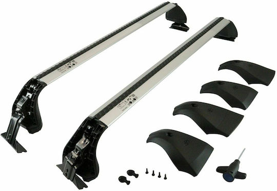 Toyota 2019 (with Roof Rack Legs and Lock) Silver