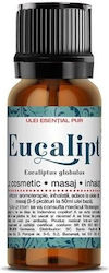 Steaua Divina Ulei Esențial Eucalyptus 10ml Steaua Divina Ulei Esențial Eucalyptus 10ml