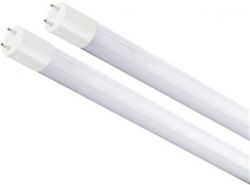 SPL Becuri LED De tip fluorescent pentru Soclu T8 și Formă T8 Warm White 1000lm 10buc