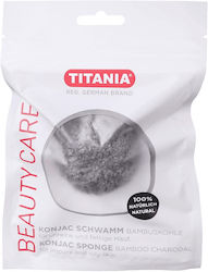 Titania Sponge