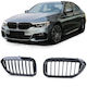 Look Διακοσμητική Μάσκα Αυτοκινήτου BMW Σειρά 5 (G30)