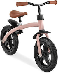 Hauck E Z Rider Hauck E Z Rider