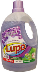 Lupo Ορχιδέα 3lt (65 Cupe de măsurare) Lupo Ορχιδέα 3lt (65 Cupe de măsurare)