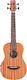 Cordoba Guitars Mini Ii Classical Guitar 7/8 Sunburst