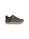 Nautica Anatomical Sneakers Gray