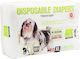 Nunbell Pet 10pcs