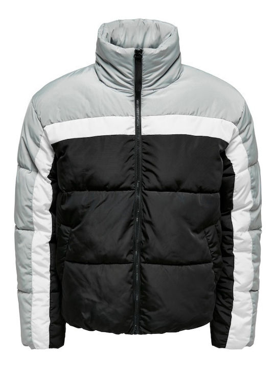 Winter Jacket Puffer Limestone