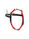 Company of Animals Dog Harness Training Black 372976