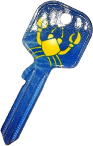 Errebi Cheie Simplu 1buc cu Design Zodie Rac