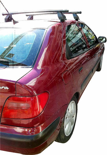Menabo für Citroen Xsara (mit Dachträgerfüßen) Silber