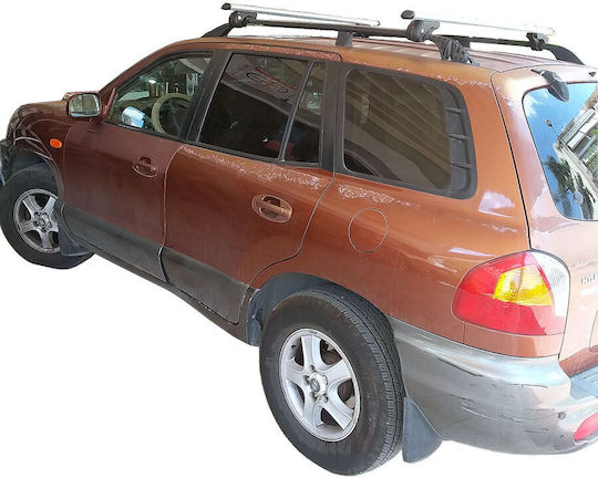 Menabo (with Roof Rack Legs) Silver