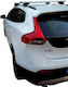 Menabo (with Roof Rack Legs) Silver