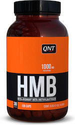 QNT 1000mg 120 Mützen