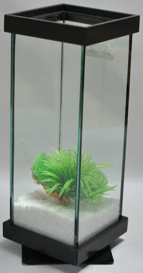 Greek Colal Fish Fisch-Aquarium mit