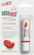 Sebamed Spf30 Lip Oil SPF30 Watermelon 4.8gr