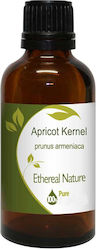 Nature & Body Apricot Oil 100ml