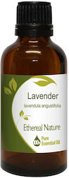 Nature & Body Essential Oil Lavender 50ml