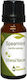 Nature & Body Spearmint Ätherisches Öl Δυόσμος 10ml