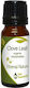 Nature & Body Ätherisches Öl Gewürznelkenblatt Clove Leaf 10ml
