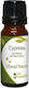 Nature & Body Essential Oil Cypress 10ml