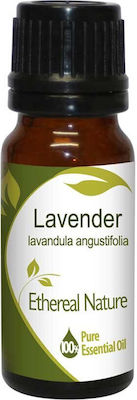 Nature & Body Essential Oil Lavender 10ml