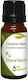 Nature & Body Cinnamon Bark Essential Oil Cinnamon 10ml