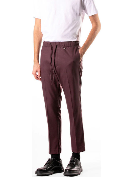 Hose Burgundisch