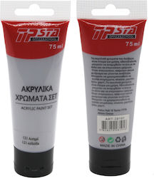 Tpster Ακρυλικό Χρώμα Ασημί 121