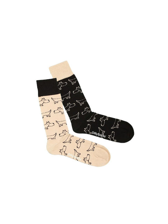 DillySocks Socks Colorful 2Pack