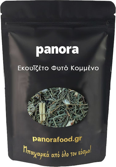 Equisetum or Linguitis or Horsetail Plant Cut 100 Gr