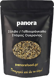 Panora Γαϊδουράγκαθο 100gr