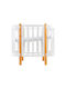 IngVart Babybett Multifunktional Nika Weiß für Matratze 60x120cm