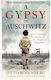 Gypsy In Auschwitz