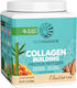 Sunwarrior Building Protein Peptides with Vitamin C and Hyaluronic Acid 500gr Churro