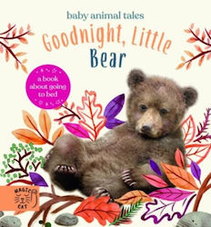 Goodnight, Little Bear (Hardcover)