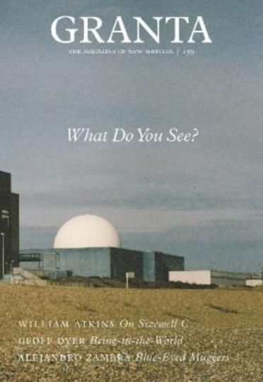 Granta 159: What Do You See? Granta 159: What Do You See?