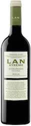 Bodegas Lan Червено Сух Шампоан 750мл