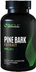 Self Omninutrition 60 capace Self Omninutrition 60 capace