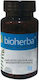 Bioherba Kalzium 133mg 60 Mützen